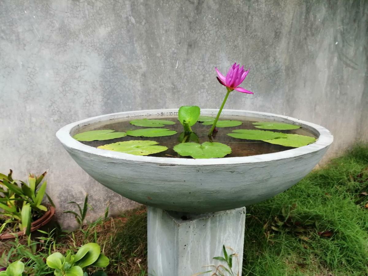 Orchid Villa #10 Hikkaduwa Zewnętrze zdjęcie
