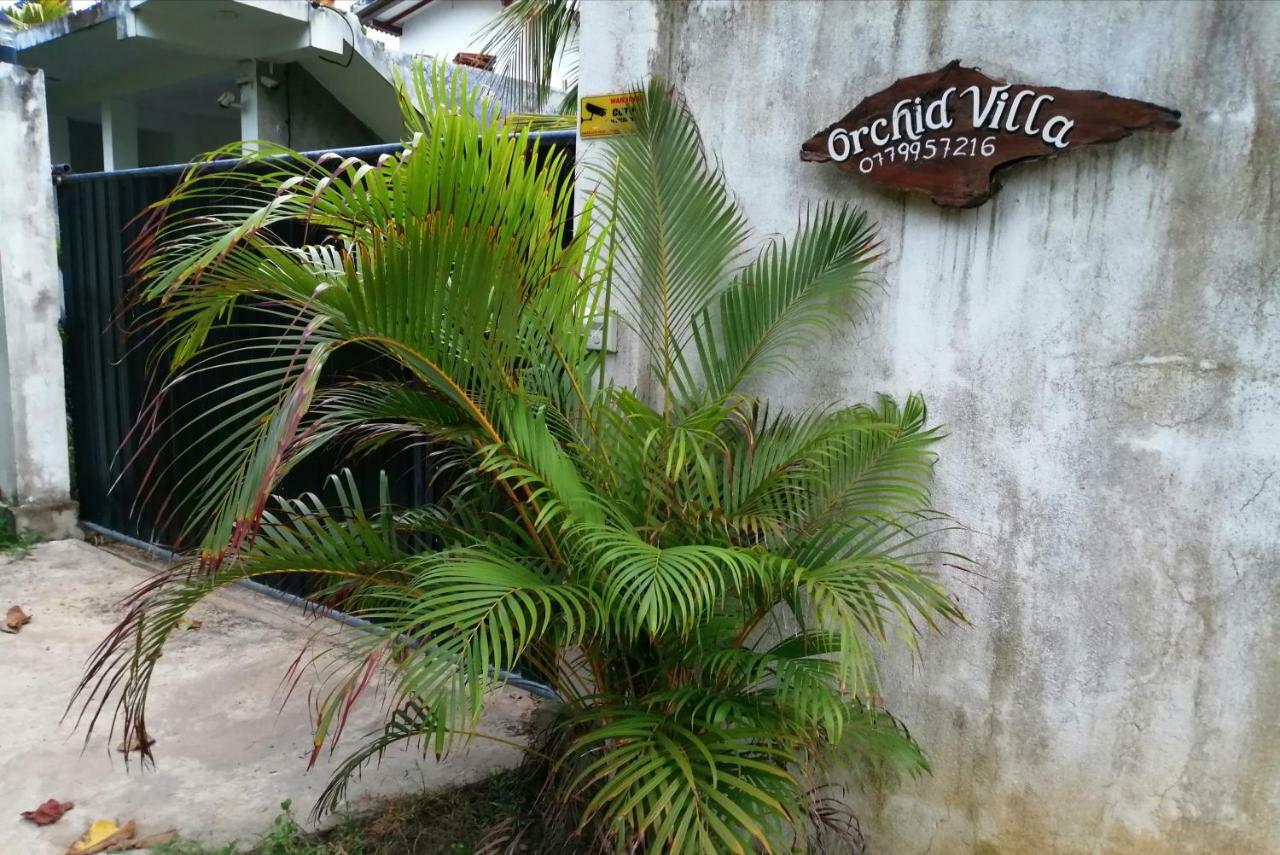 Orchid Villa #10 Hikkaduwa Zewnętrze zdjęcie